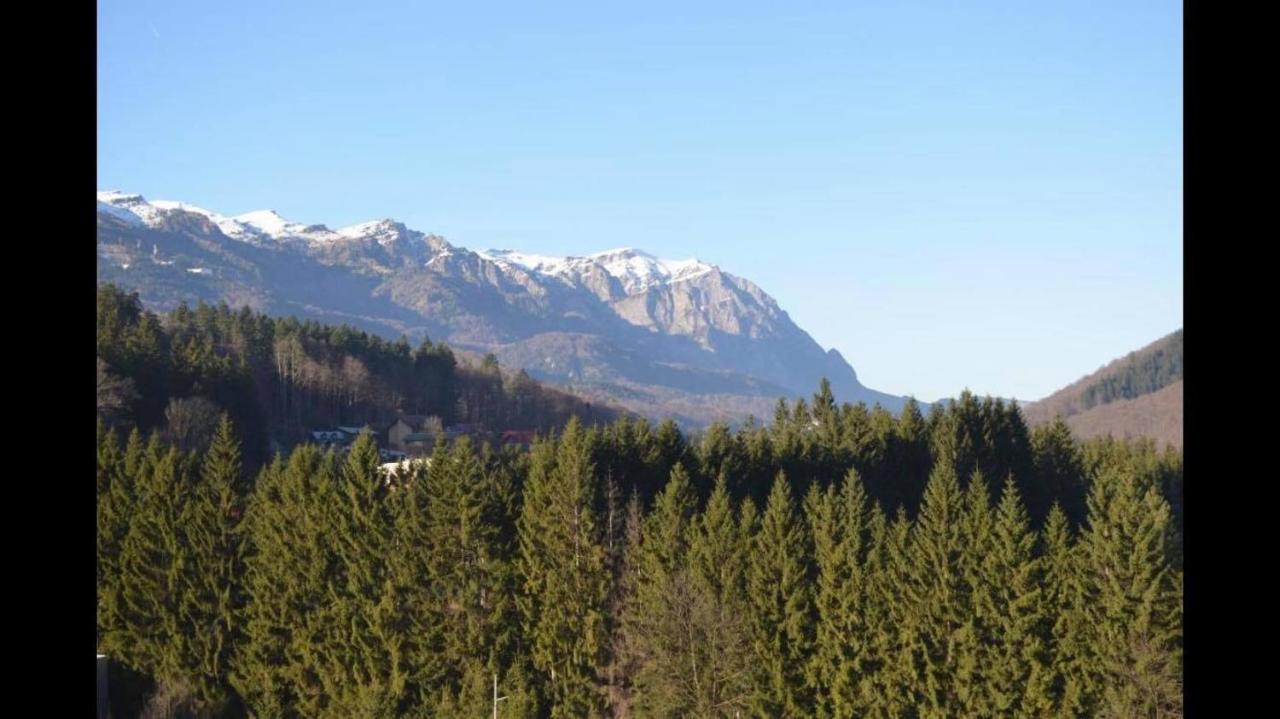 Mountain Residence Sinaia Extérieur photo